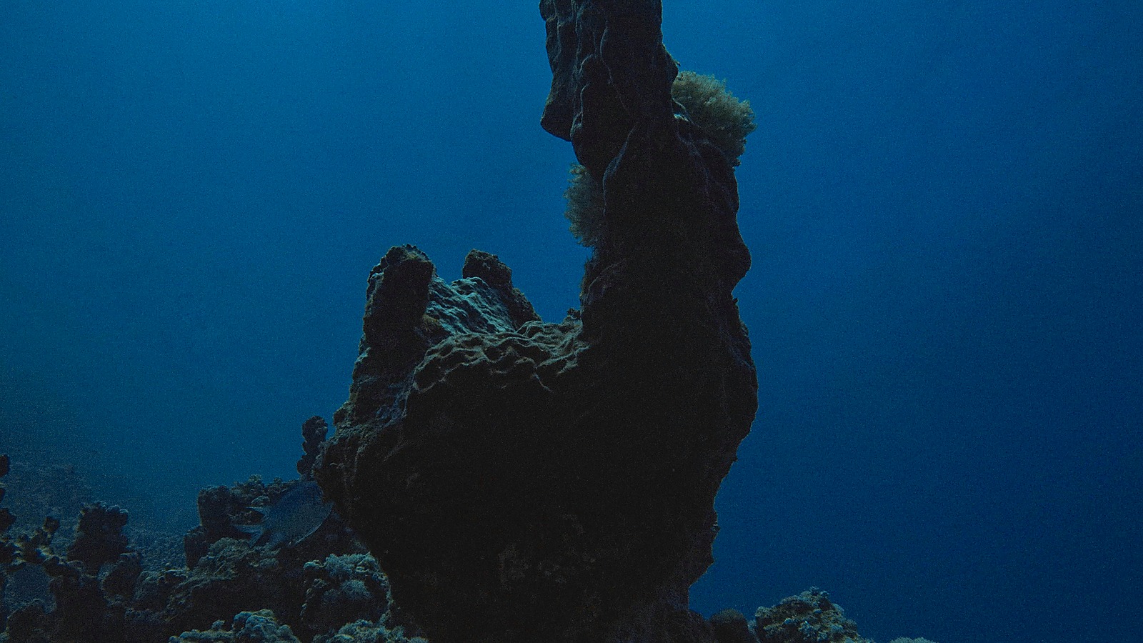Diving