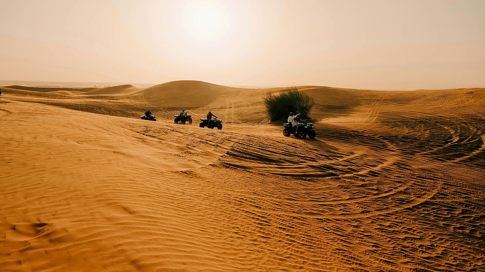 Desert safari